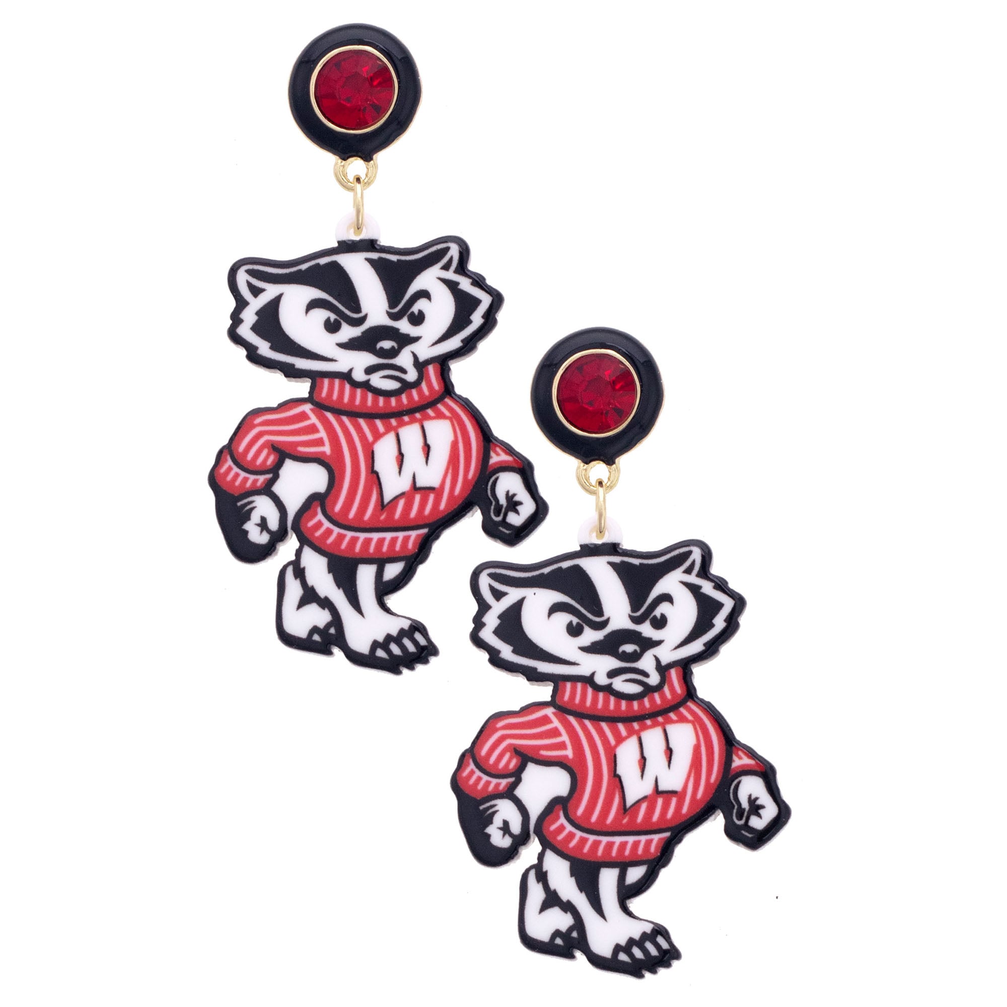 Women's CANVAS Style Wisconsin Badgers Resin Earrings