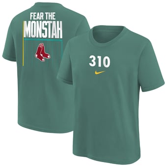Youth Nike  Green Boston Red Sox Hometown Collection T-Shirt