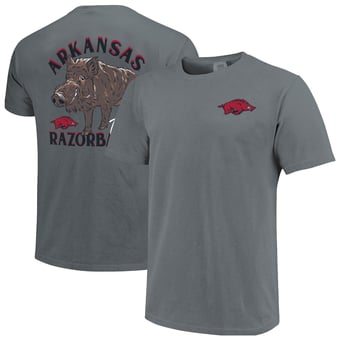 Unisex  Charcoal Arkansas Razorbacks Arched Drawn Mascot Hyper Local Comfort Colors T-Shirt