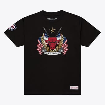 Men's Mitchell & Ness Black Chicago Bulls Allegiance T-Shirt