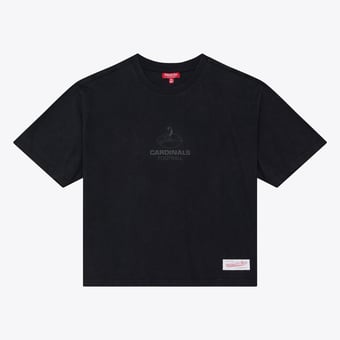 Women's Mitchell & Ness Black Arizona Cardinals Core Essentials Micro Logo Boxy Crop T-Shirt