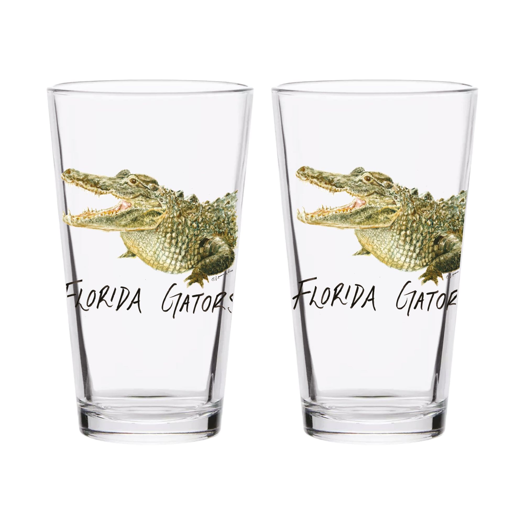 Indigo Falls  Florida Gators Laura Wilcox Mascot Pint Glass Set of 2