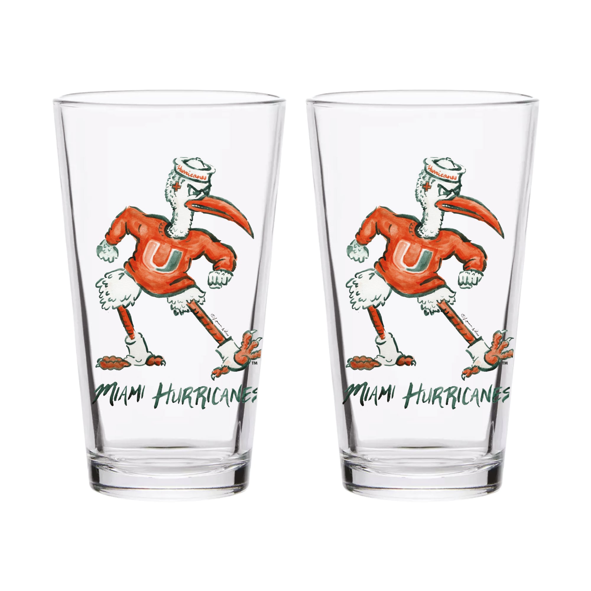 Indigo Falls  Miami Hurricanes Laura Wilcox Mascot Pint Glass Set of 2