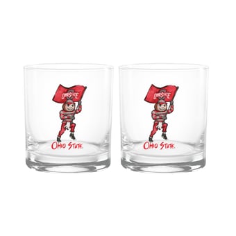 Indigo Falls  Ohio State Buckeyes Laura Wilcox Mascot Rocks Glass Set of 2