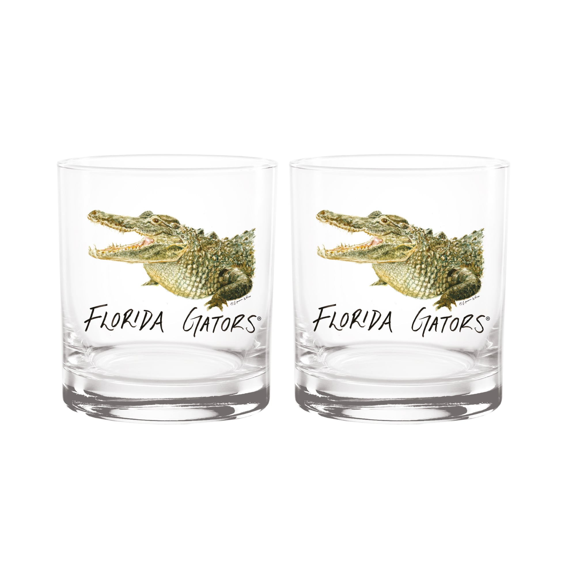 Indigo Falls  Florida Gators Laura Wilcox Mascot Rocks Glass Set of 2