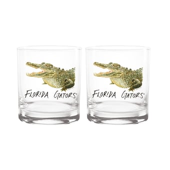 Indigo Falls  Florida Gators Laura Wilcox Mascot Rocks Glass Set of 2