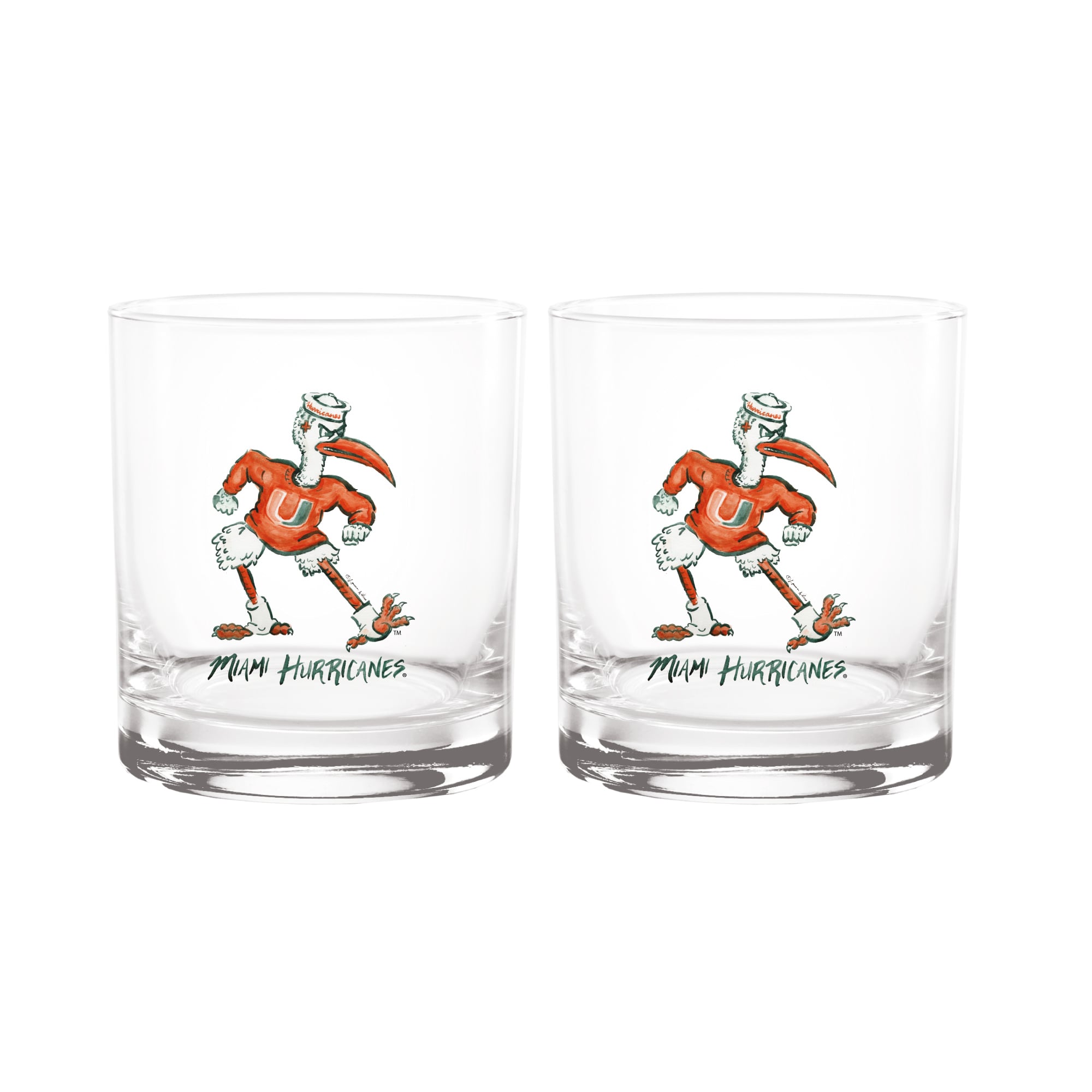 Indigo Falls  Miami Hurricanes Laura Wilcox Mascot Rocks Glass Set of 2