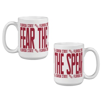 Indigo Falls Florida State Seminoles Elevated Mug - Set of 2