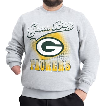 Men's G-III Sports by Carl Banks Gray Green Bay Packers Adaptive Shading City Fleece Sweatshirt