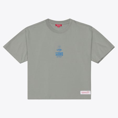 Women's Mitchell & Ness Gray Detroit Lions Core Essentials Micro Logo Boxy Crop T-Shirt