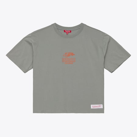Women's Mitchell & Ness Gray Cincinnati Bengals Core Essentials Micro Logo Boxy Crop T-Shirt