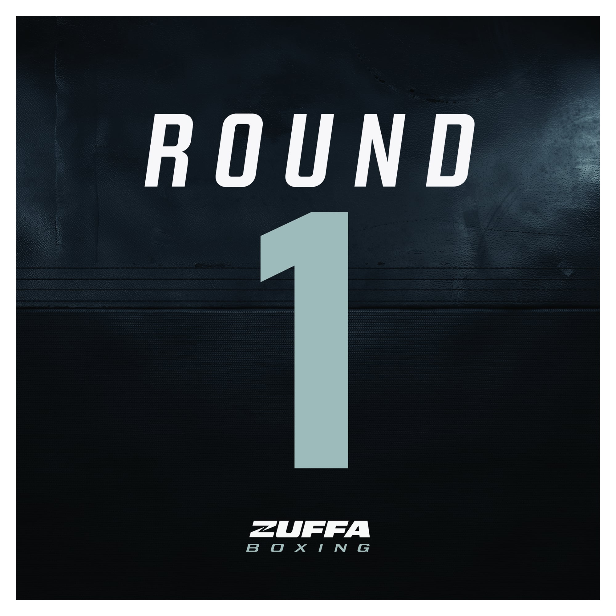 Zuffa Boxing Event-Used Round Ring Round Card