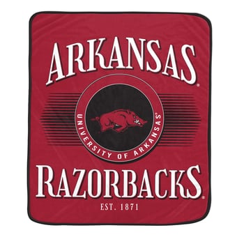 Pegasus Arkansas Razorbacks Spotlight Arch 60" x 70" Ultra Soft Throw Blanket