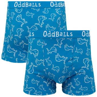 Detroit Lions Odd Balls Boxers