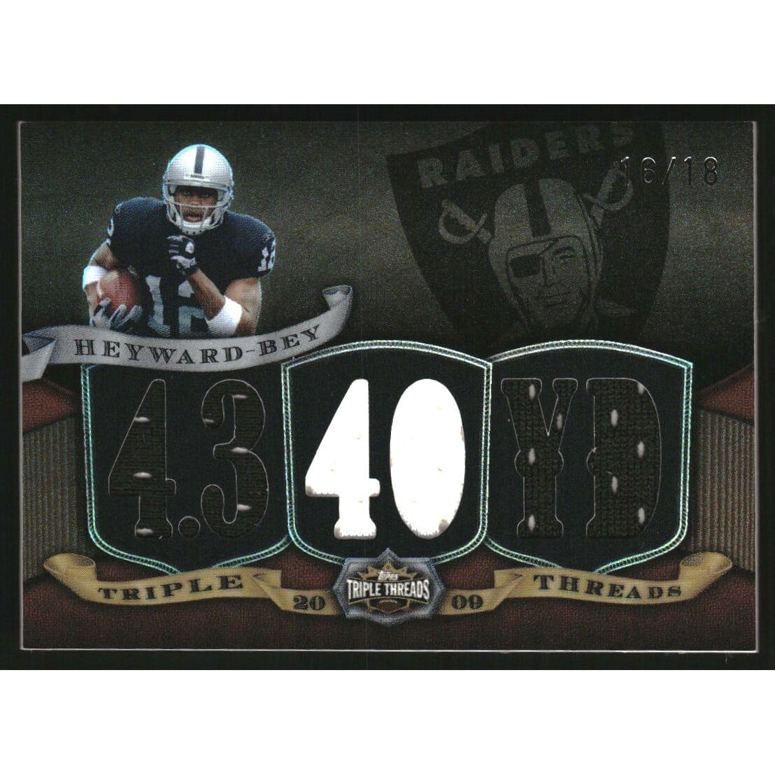 2009 Topps Triple Threads Relic Sepia #TTR21 Darrius Heyward-Bey. rookie card picture