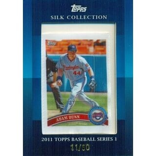 2011 Topps Silk Collection #15 Adam Dunn. rookie card picture