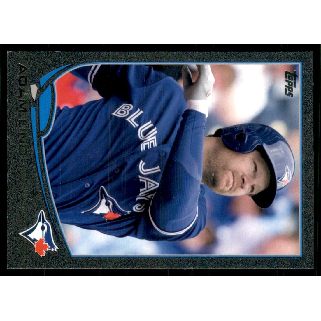 2013 Topps Black #557 Adam Lind. rookie card picture