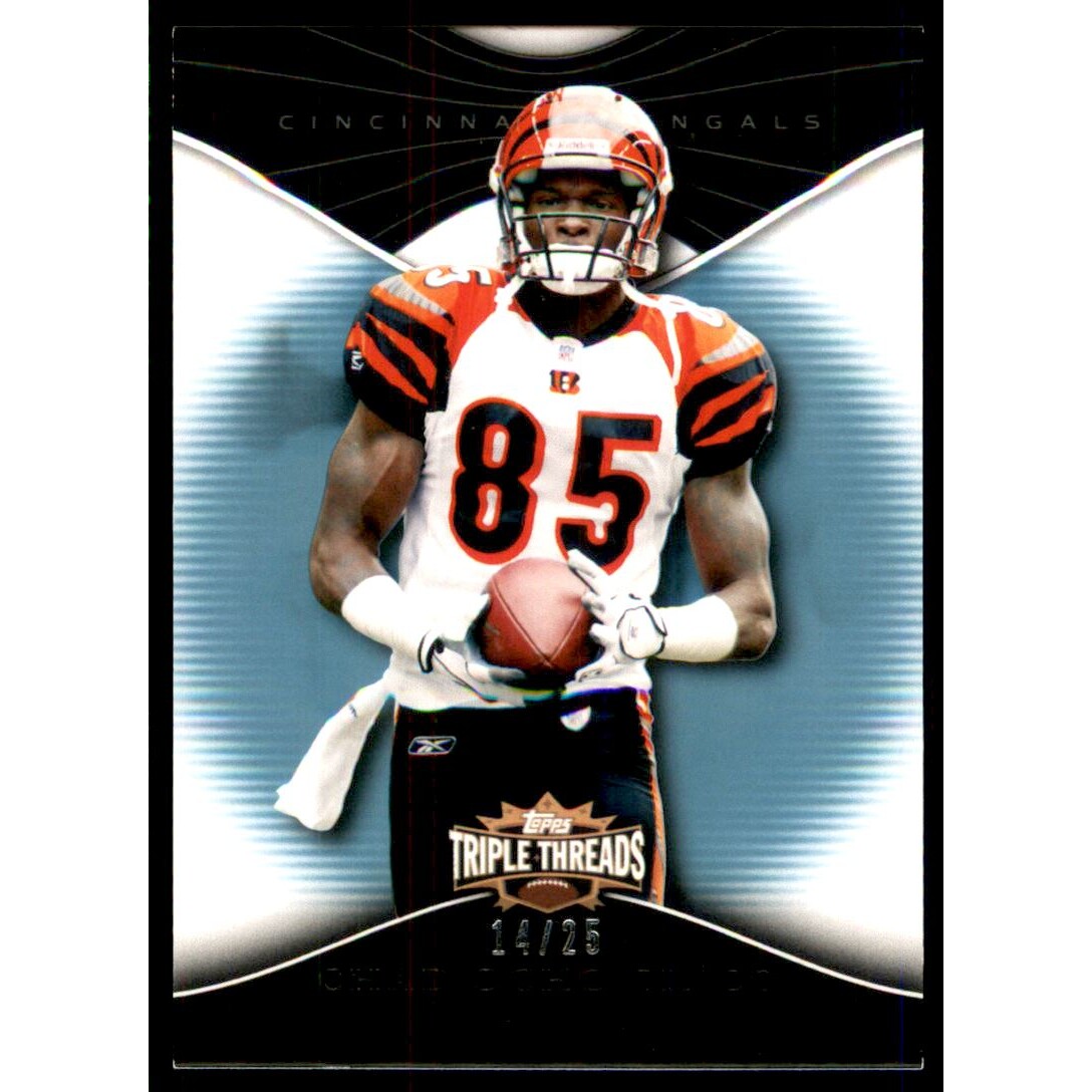 2009 Topps Triple Threads Sapphire #84 Chad Ochocinco. rookie card picture