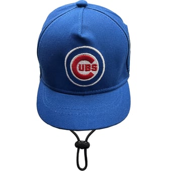 Chicago Cubs Pet Hat