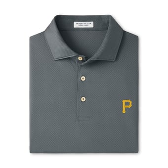 Men's Peter Millar Gray Pittsburgh Pirates Hugo Performance Jersey Polo