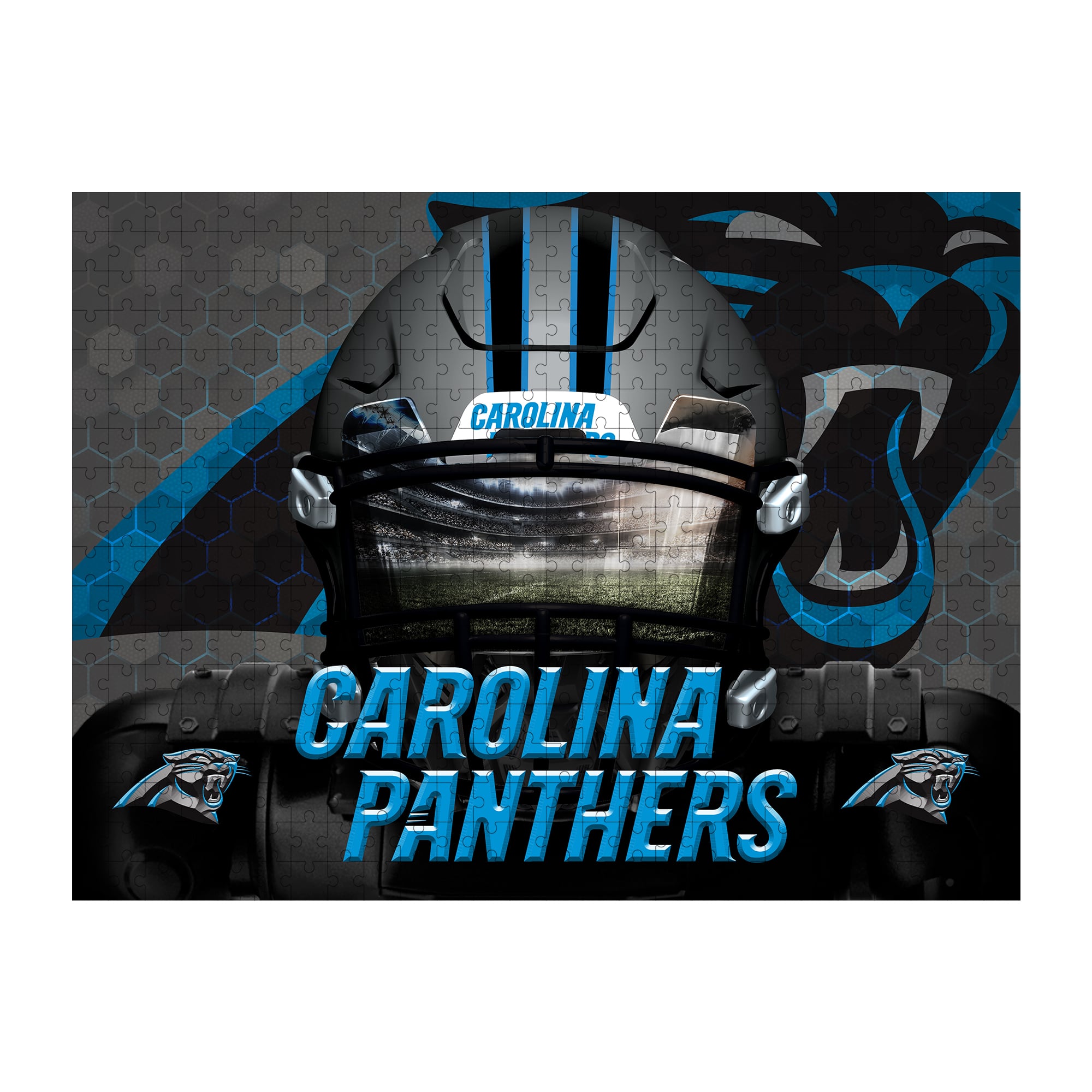 Carolina Panthers 18″ x 24″ 3D Facemask Puzzle