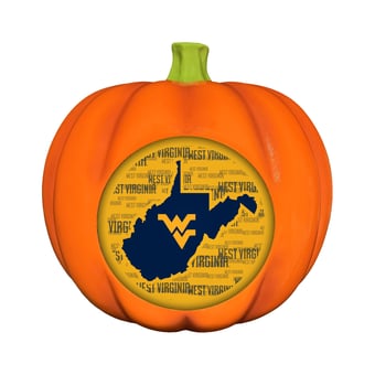 West Virginia Mountaineers 3D Resin Pumpkin