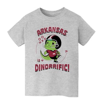 Youth Vive La Fete Gray Arkansas Razorbacks Dinorrific T-Shirt