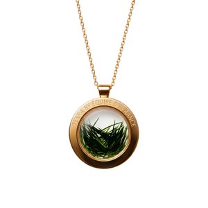 Collier Terra de l'équipe de France, acier plaqué or - Petit modèle, vue 2