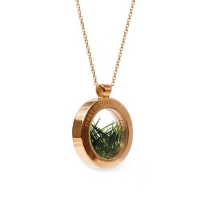 Collier Terra de l'équipe de France, acier plaqué or - Petit modèle, vue 3