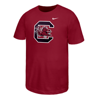 Youth Nike Garnet South Carolina Gamecocks Primary Logo T-Shirt
