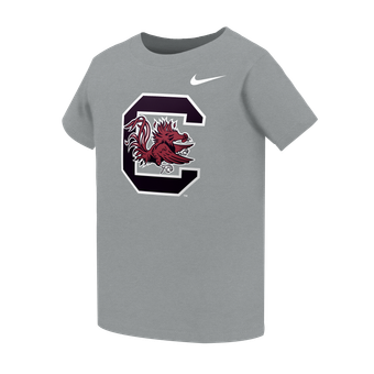 Toddler Nike Gray South Carolina Gamecocks Primary Logo T-Shirt