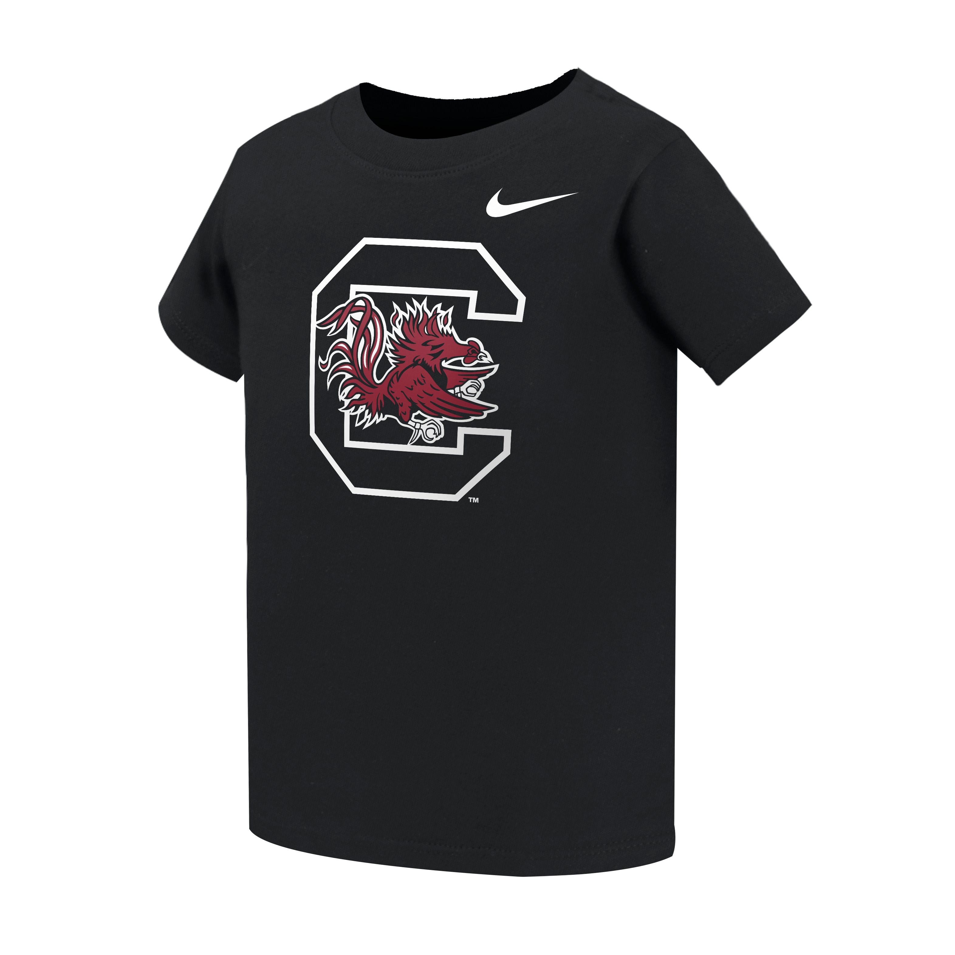 Toddler Nike Black South Carolina Gamecocks Primary Logo T-Shirt