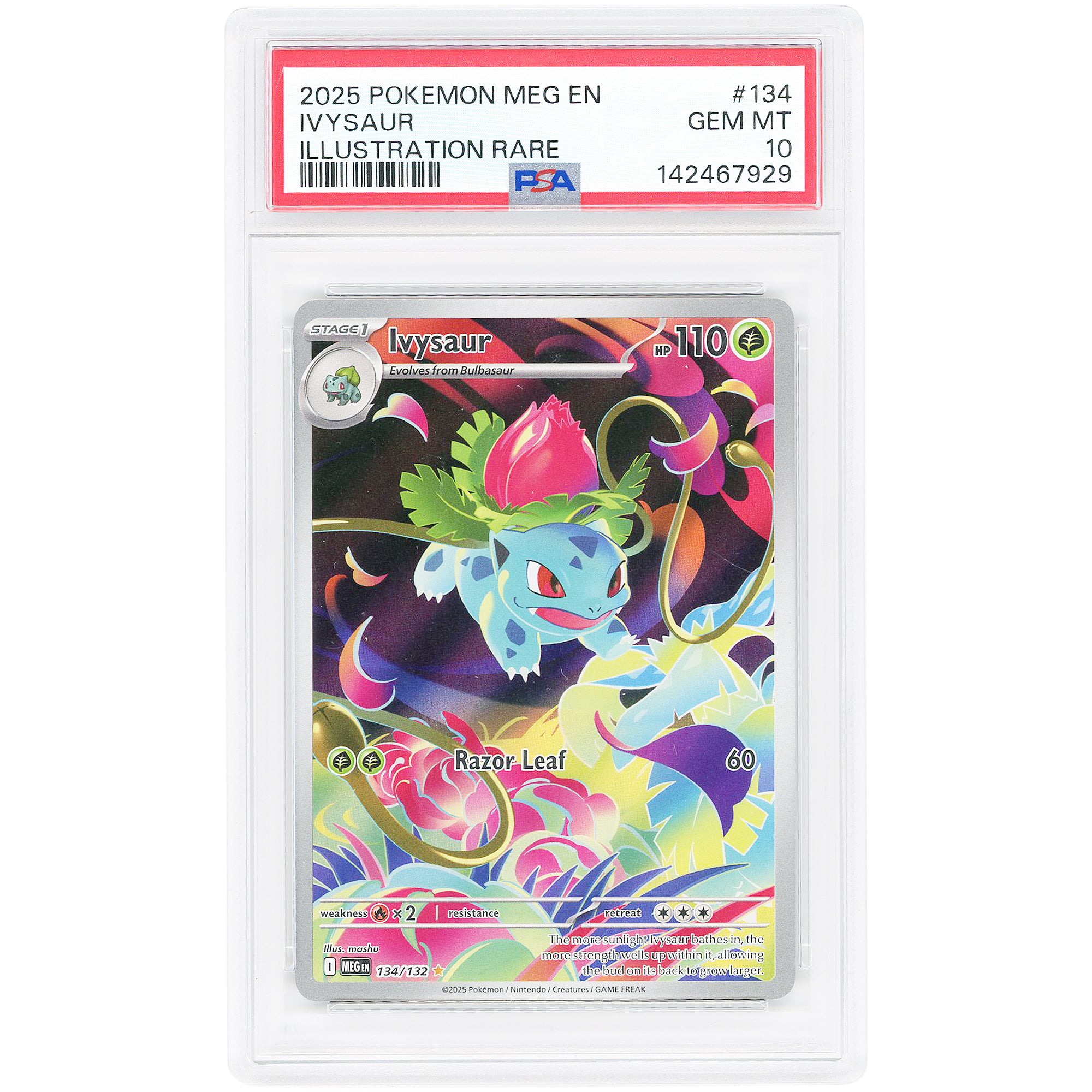 Ivysaur 2025 Pokemon Mega Evolution Illustration Rare #134 PSA Authenticated 10 Card