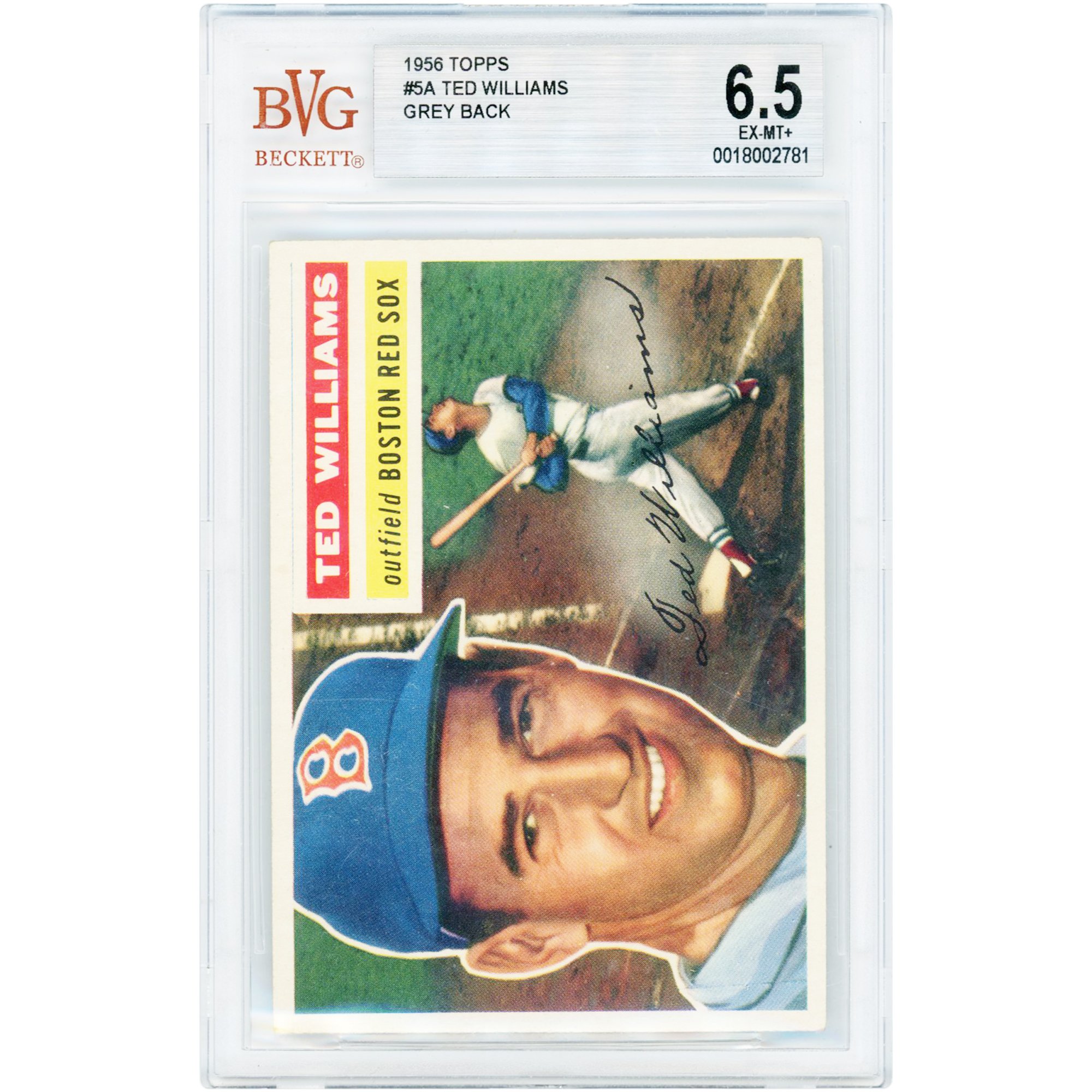 Tarjeta de Ted Williams de los Boston Red Sox de 1956, Topps Grey Back #5, autenticada por BVG, 6.5 pulgadas.