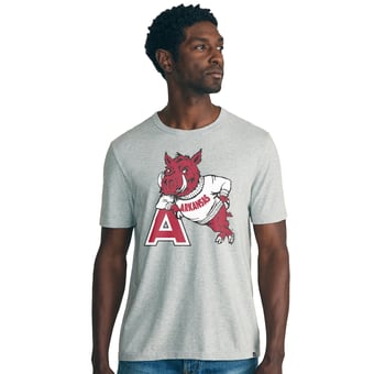 Men's FAHERTY Heather Gray Arkansas Razorbacks Sunwashed T-Shirt