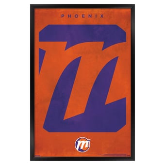 Phoenix Mercury 23" x 34" Framed Team Poster