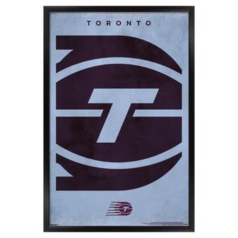 Toronto Tempo 23" x 34" Framed Team Poster