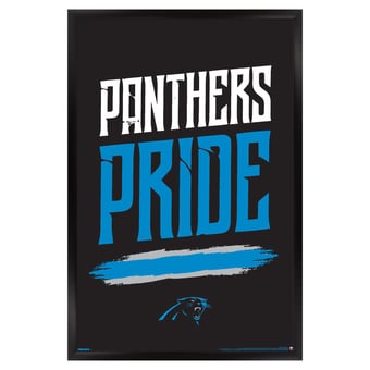 Carolina Panthers 23" x 34" Framed Team Poster