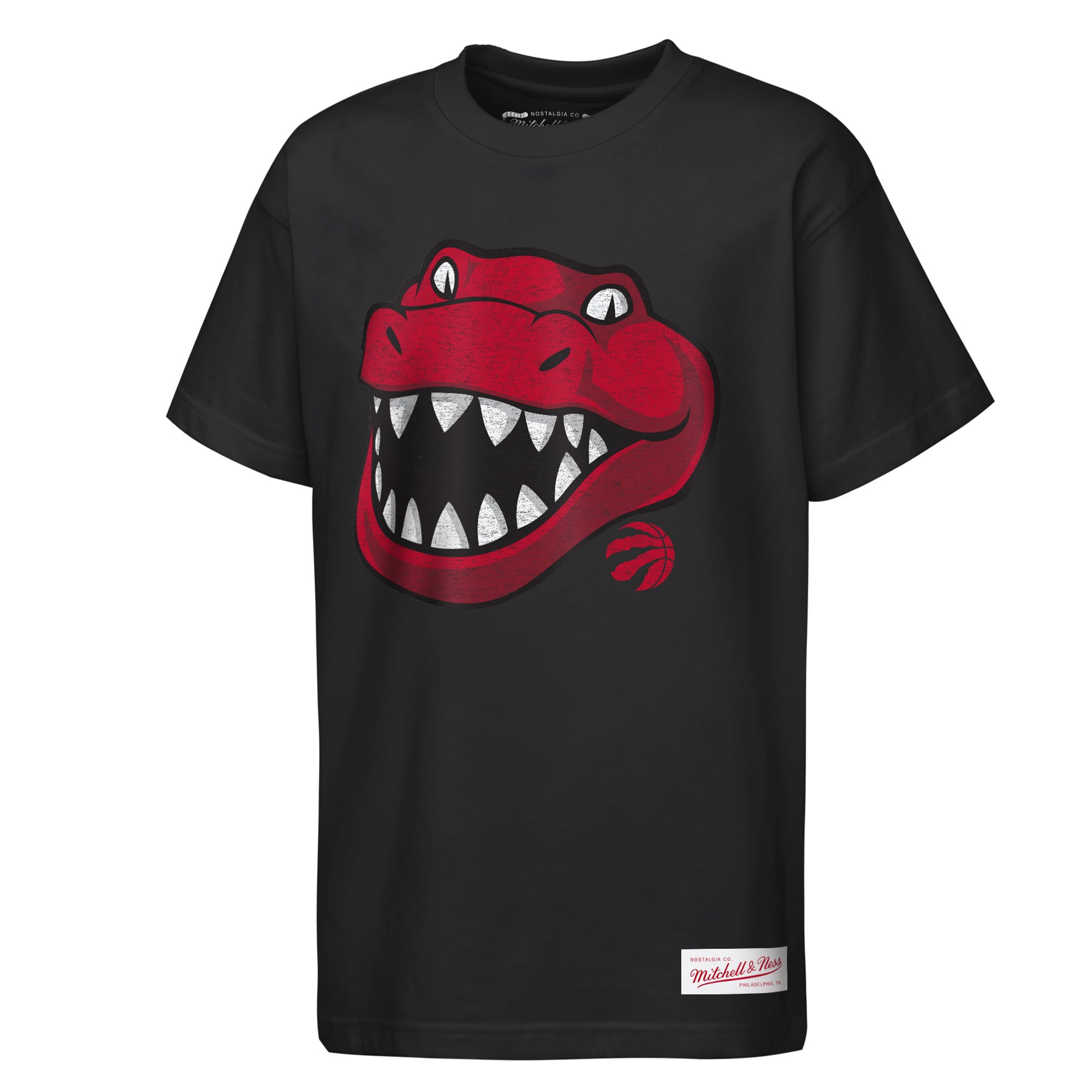 Youth Mitchell & Ness Black Toronto Raptors Big Face Mascot T-Shirt