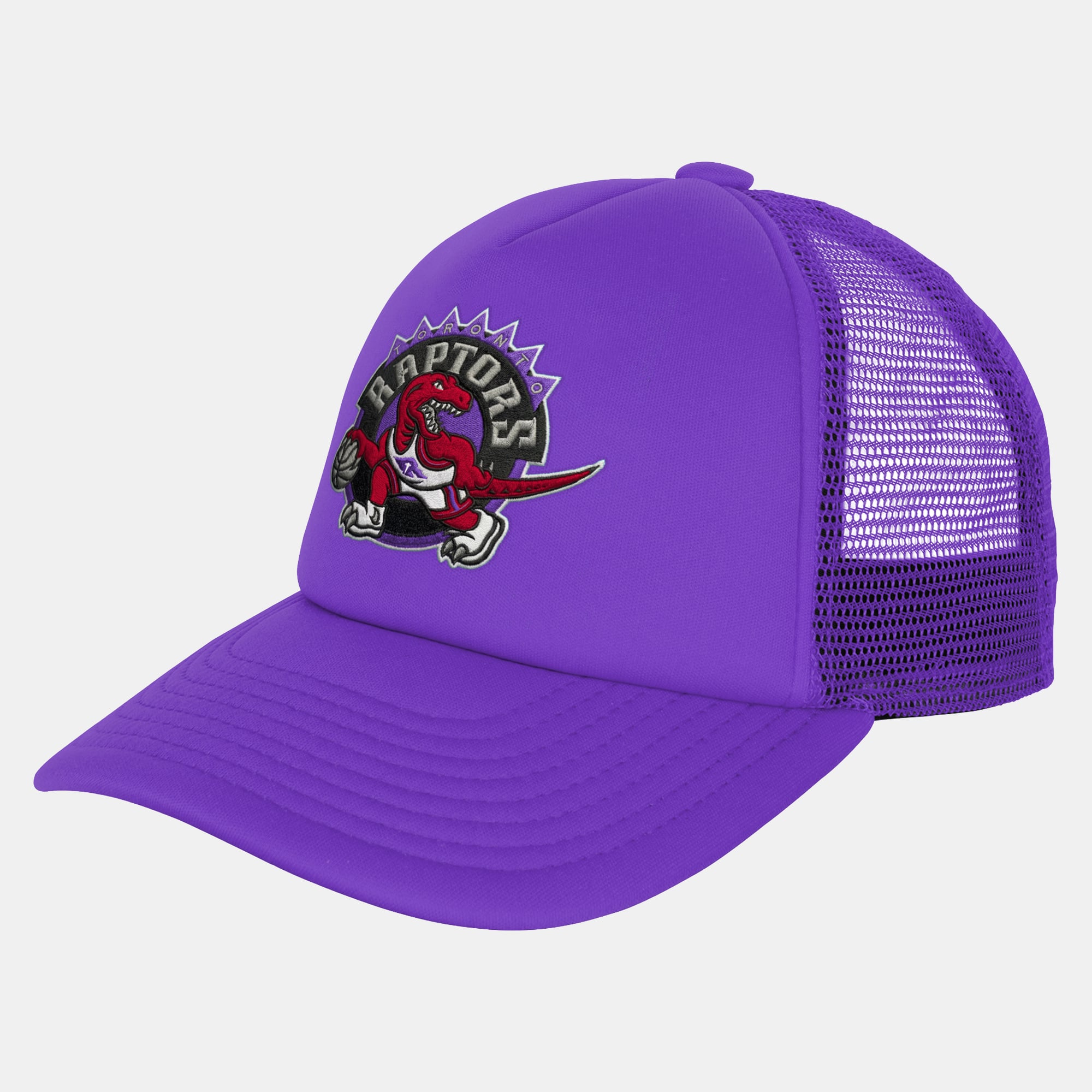 Youth Mitchell & Ness Purple Toronto Raptors Evergreen Trucker Adjustable Hat