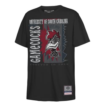 Youth Mitchell & Ness  Black South Carolina Gamecocks 90s Retro Poster T-Shirt