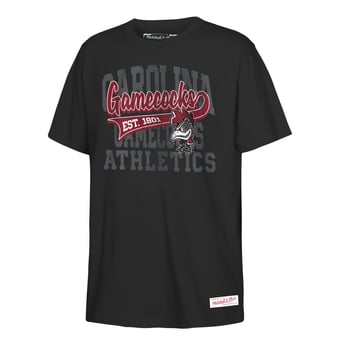Youth Mitchell & Ness  Black South Carolina Gamecocks Retro Sweeper T-Shirt