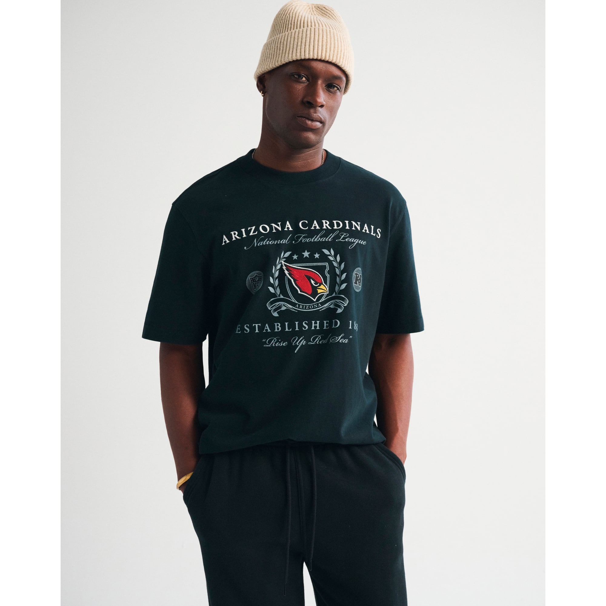 Schwarzes Premium-T-Shirt der Arizona Cardinals von Abercrombie & Fitch für Herren (schwere Qualität).