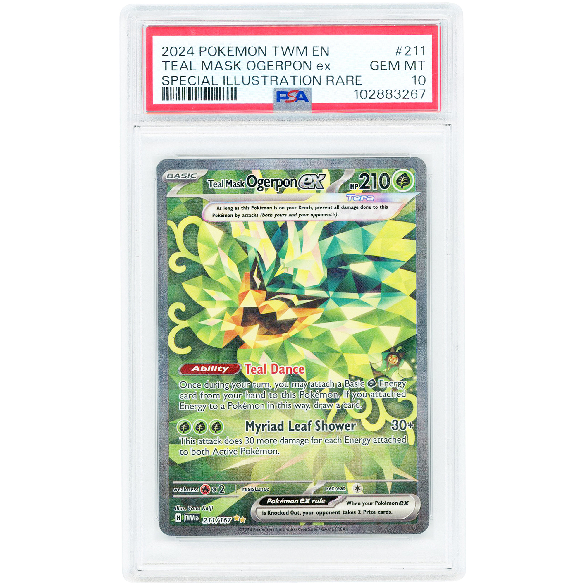 Teal Mask Ogerpon ex 2024 Pokemon Twilight Masquerade Special Illustration Rare #211 PSA Authenticated 10 Card