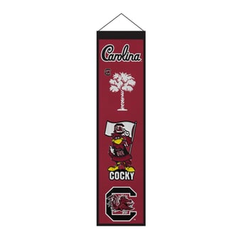"South Carolina Gamecocks 8"" x 32"" Icons Banner"