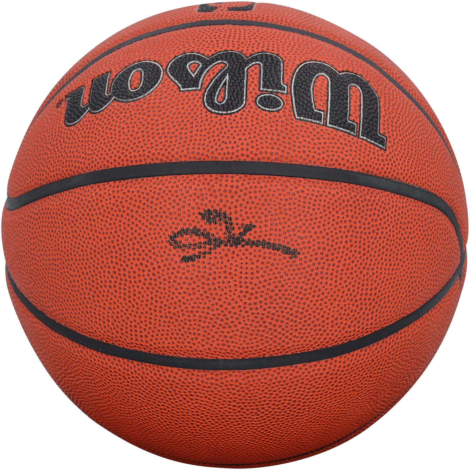 Allen Iverson Philadelphia 76ers Autographed Wilson Authentic Series Indoor/Outdoor Basketball