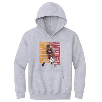 Youth 500 Level Giannis Antetokounmpo Gray Miami Heat Bold Hoodie