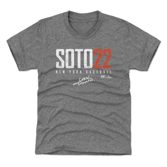 Youth 500 Level Juan Soto Gray Elite T-Shirt