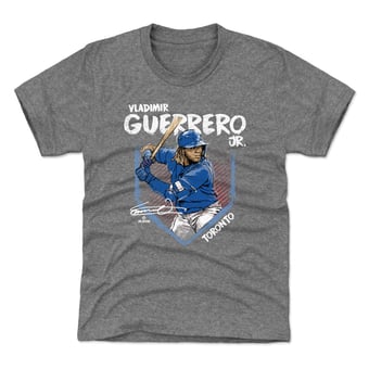 Youth 500 Level Vladimir Guerrero Jr. Gray Base T-Shirt