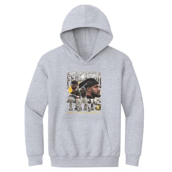 Youth 500 Level Fernando Tatis Jr. Gray Vintage Hoodie